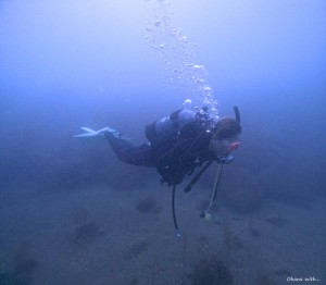 DCIM100GOPROGOPR6017.JPG