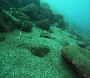 DCIM100GOPROGOPR6043.JPG