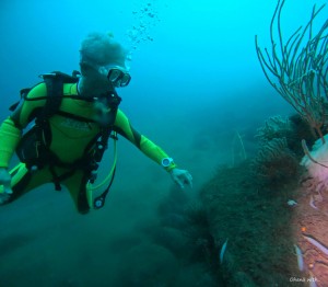 DCIM100GOPROGOPR6046.JPG
