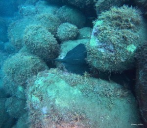 DCIM100GOPROGOPR6050.JPG