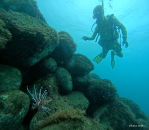 DCIM100GOPROGOPR6053.JPG