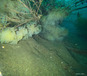 DCIM100GOPROGOPR6072.JPG