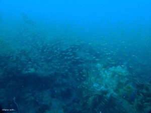 LINE_ALBUM_20240608_240608_4