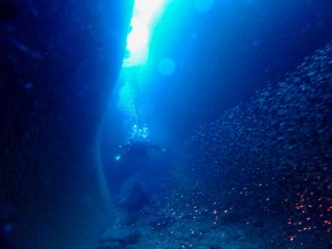 P6160020