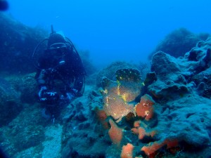 P6160058
