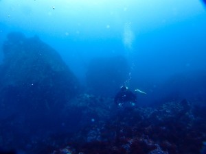 P6290004