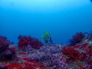 P6290009
