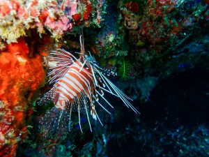 P6290252