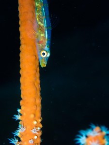 P6300341