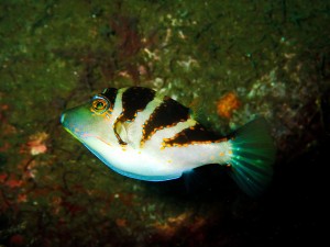 P6300346