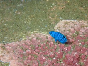 P6300348