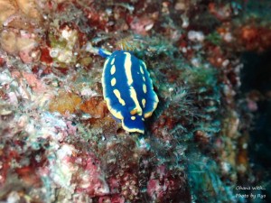 line_oa_chat_240616_175956