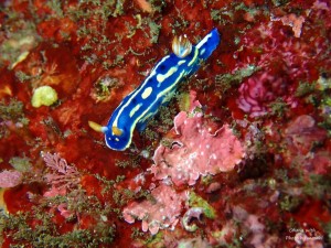 line_oa_chat_240625_164719
