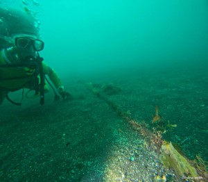 DCIM100GOPROGOPR1202.JPG
