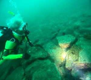 DCIM100GOPROGOPR1205.JPG