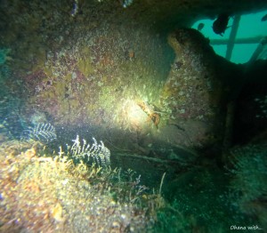DCIM100GOPROGOPR1208.JPG