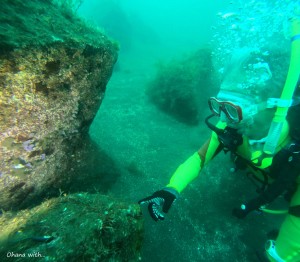 DCIM100GOPROGOPR1215.JPG