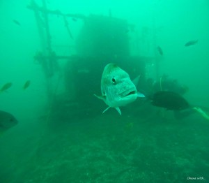 DCIM100GOPROGOPR1222.JPG