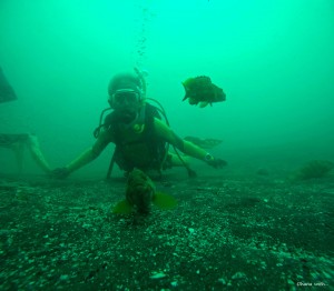 DCIM100GOPROGOPR1228.JPG