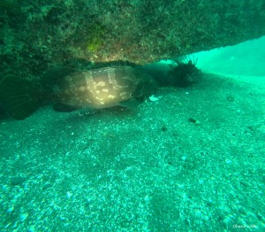 DCIM100GOPROGOPR1249.JPG