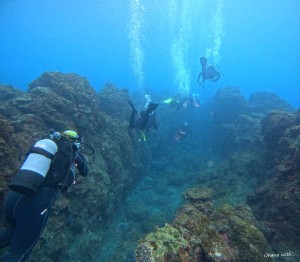 DCIM100GOPROGOPR6114.JPG