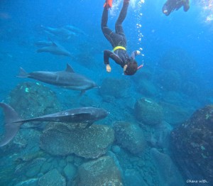 DCIM100GOPROGOPR6200.JPG