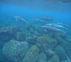 DCIM100GOPROGOPR6215.JPG