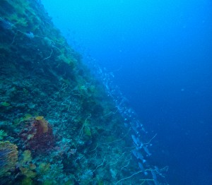 GOPR7105