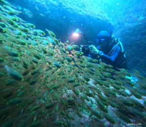 DCIM100GOPROGOPR7323.JPG