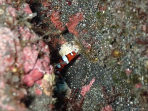 LINE_ALBUM_20240629_240703_11