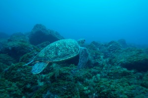 LINE_ALBUM_20240629_240703_2
