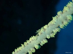 LINE_ALBUM_20240629_240703_6
