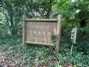 LINE_ALBUM_三宅島ツアー_240701_95