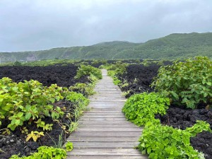 LINE_ALBUM_三宅島ツアー_240701_79