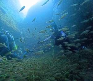 DCIM100GOPROGOPR7907.JPG