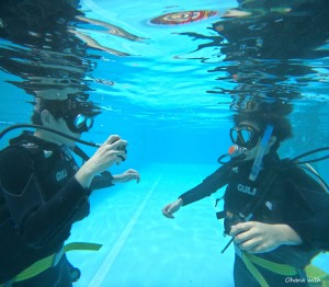 DCIM100GOPROGOPR3834.JPG