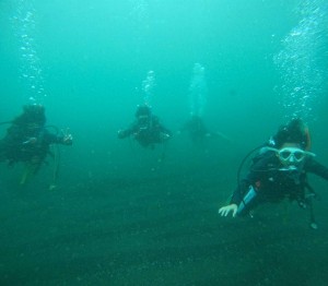 DCIM100GOPROGOPR3912.JPG