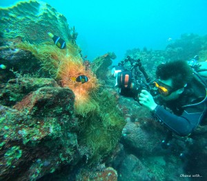 DCIM100GOPROGOPR8944.JPG
