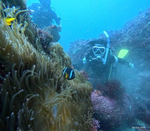 DCIM100GOPROGOPR8984.JPG