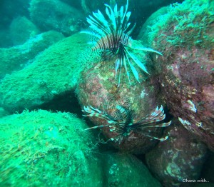 DCIM100GOPROGOPR9765.JPG