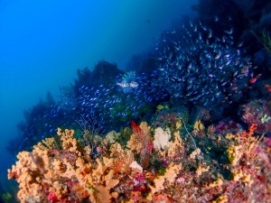 P9240015