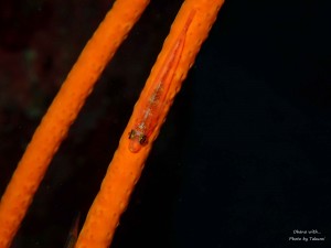 P9270161