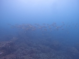 line_oa_chat_240920_160018