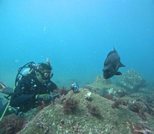 DCIM100GOPROGOPR0896.JPG