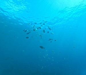 DCIM100GOPROGOPR4569.JPG