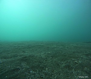 DCIM100GOPROGOPR0821.JPG