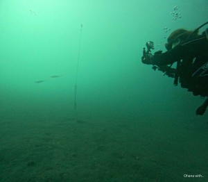 DCIM100GOPROGOPR0945.JPG