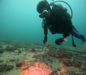 DCIM100GOPROGOPR2087.JPG