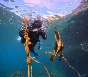 DCIM100GOPROGOPR1184.JPG