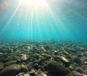 DCIM100GOPROGOPR1187.JPG